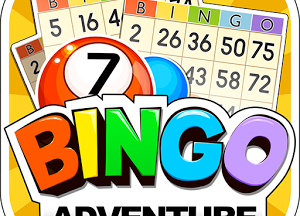 Bingo adventure